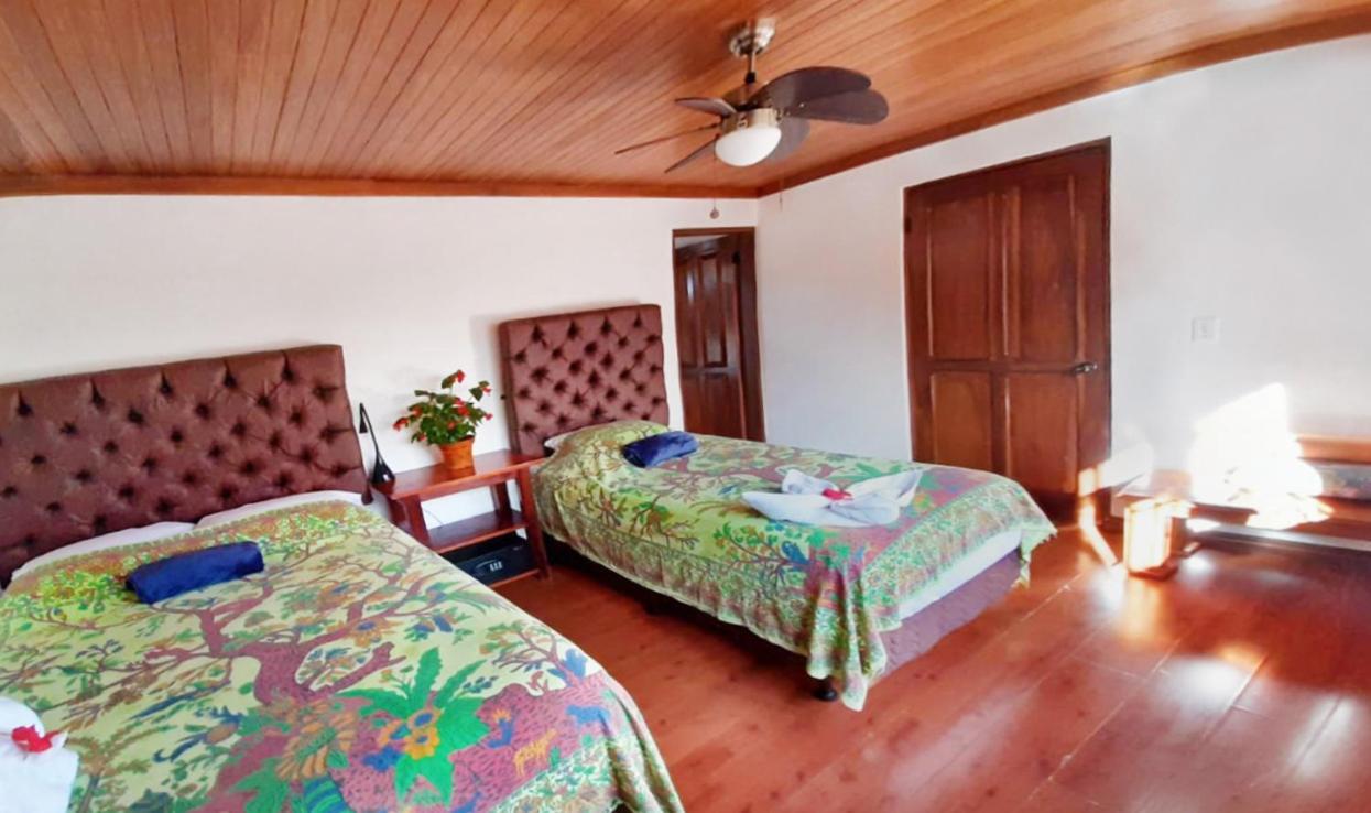 Luna Inn B&B Ciudad Cariari Kültér fotó